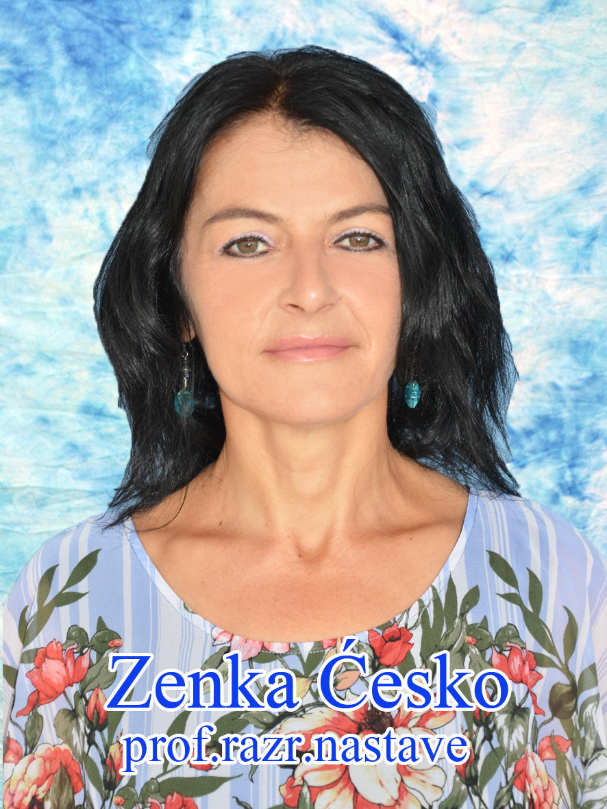 Ćesko Zenka