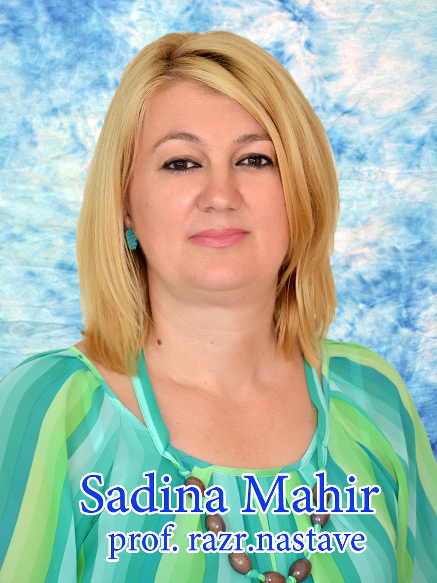 Mahir Sadina