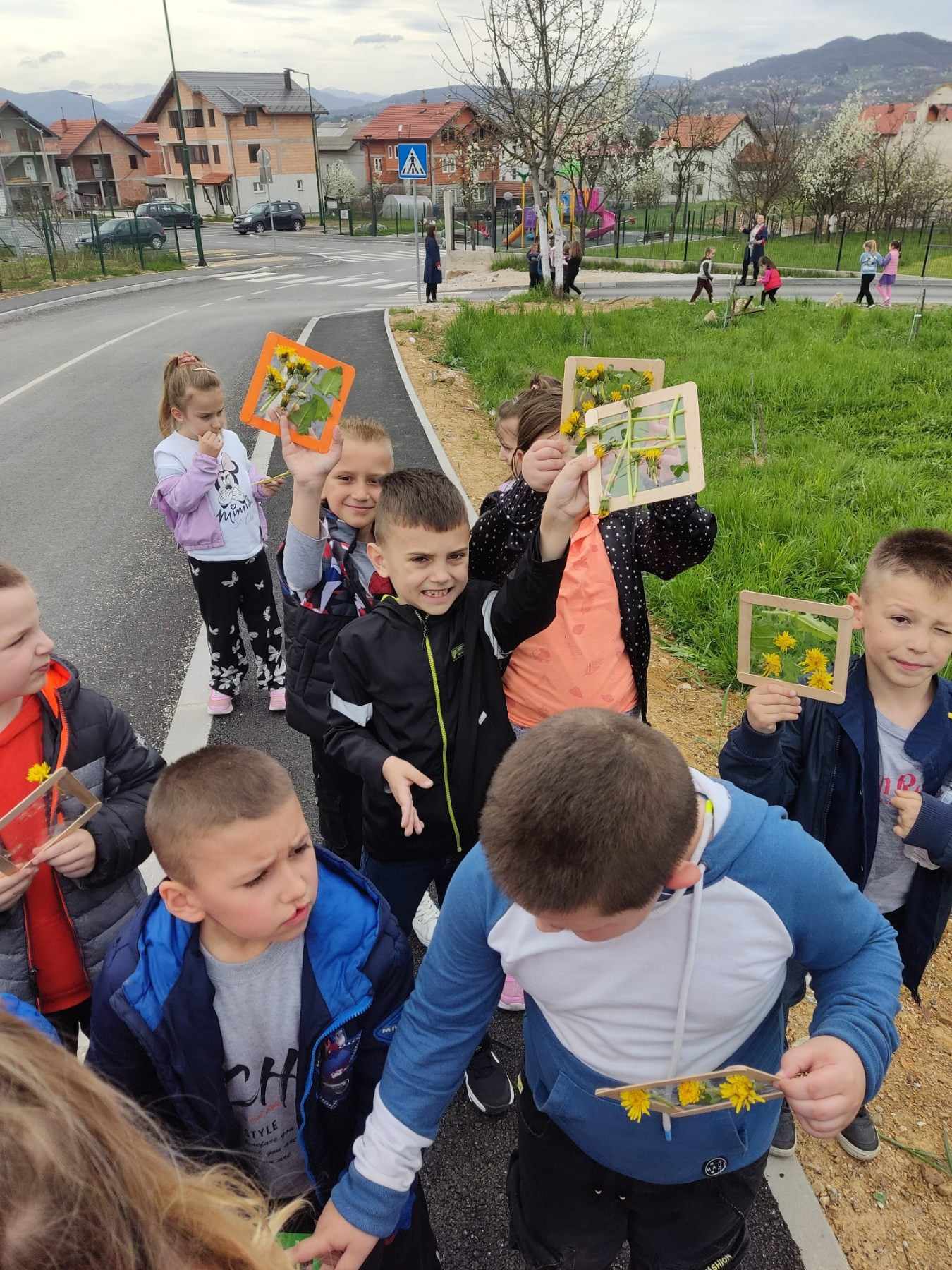 maslačak10