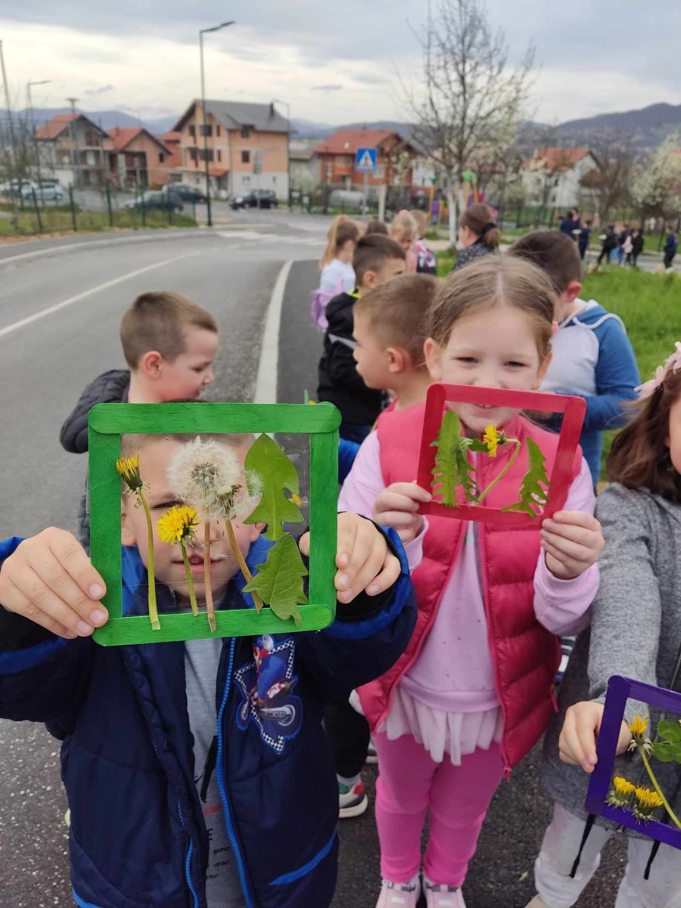 maslačak14