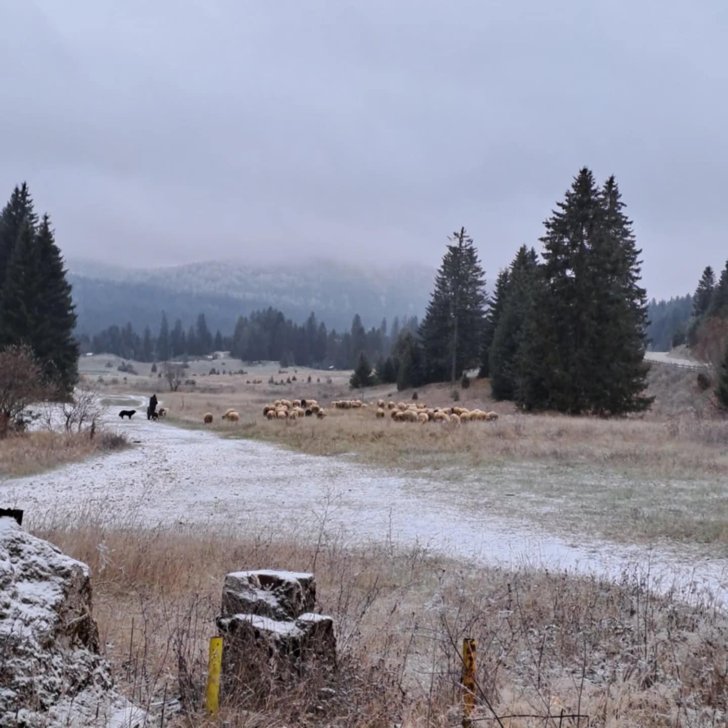planinarenje