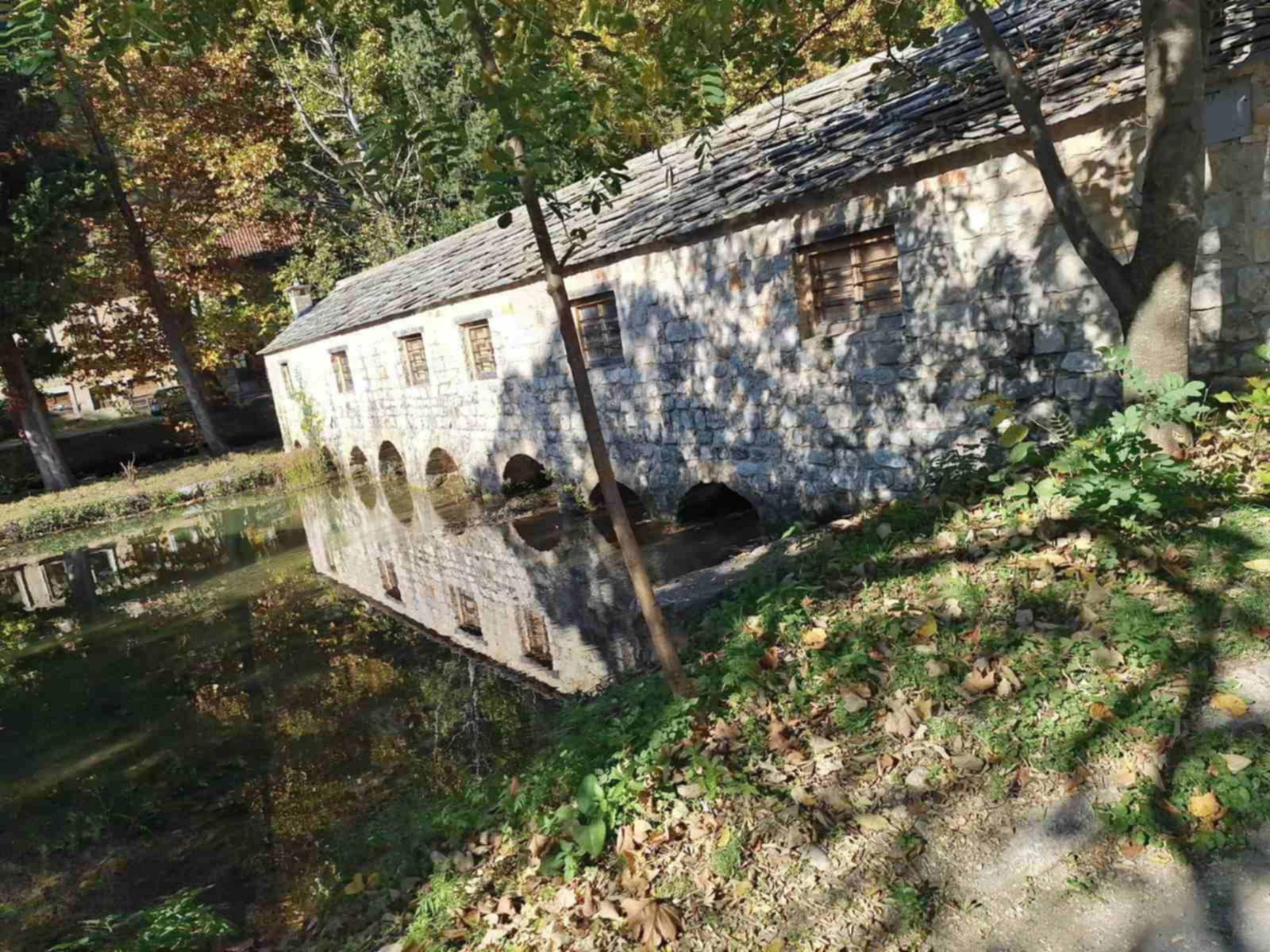 skola13