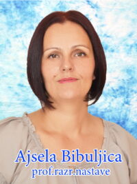Bibuljica Ajsela