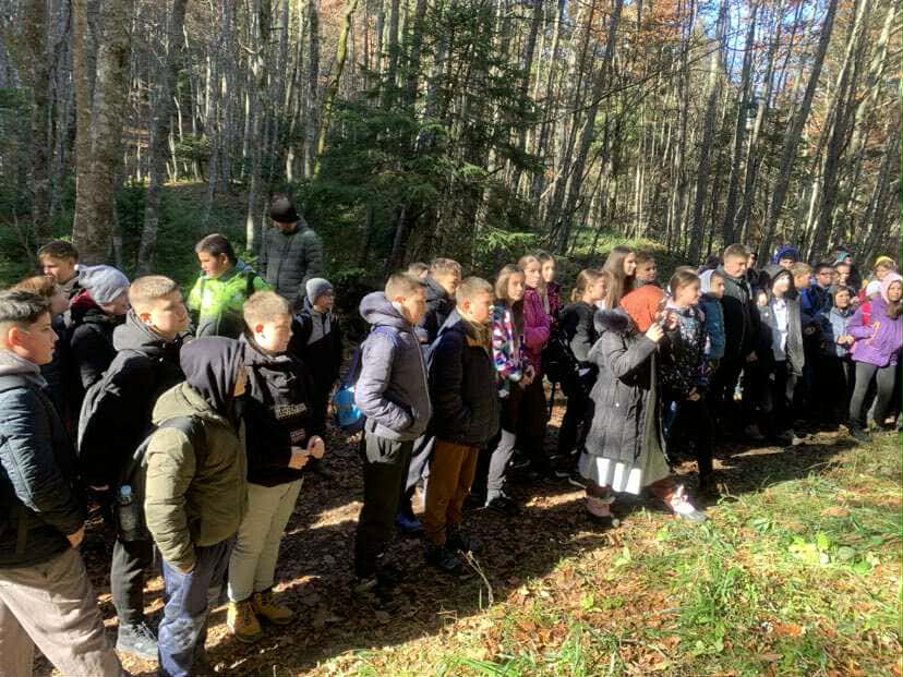 1099233f-9530-4381-843f-d5a70369f84e