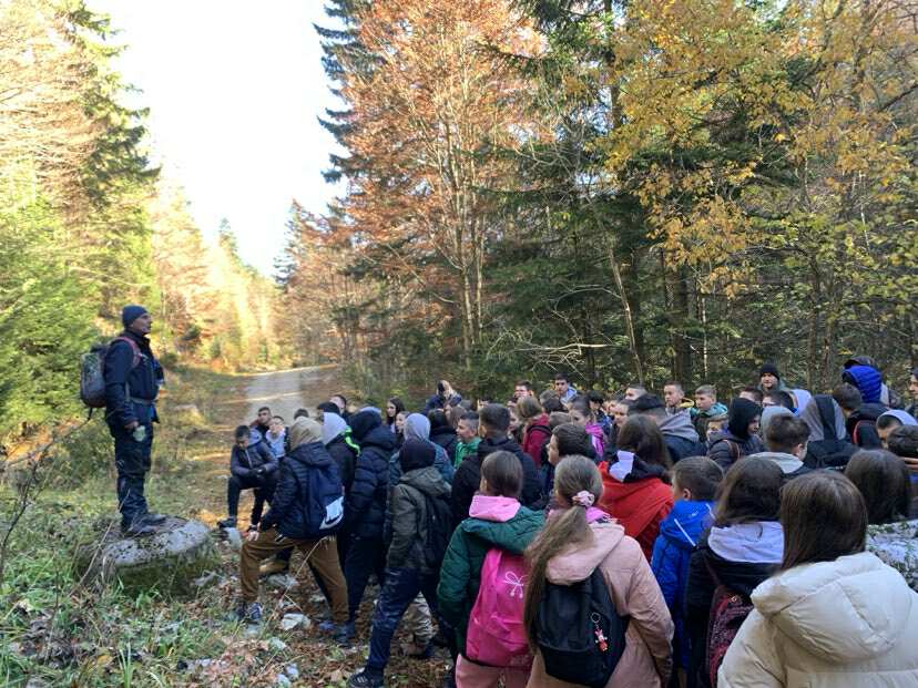 385568e8-0868-41e1-a7df-a420674233df