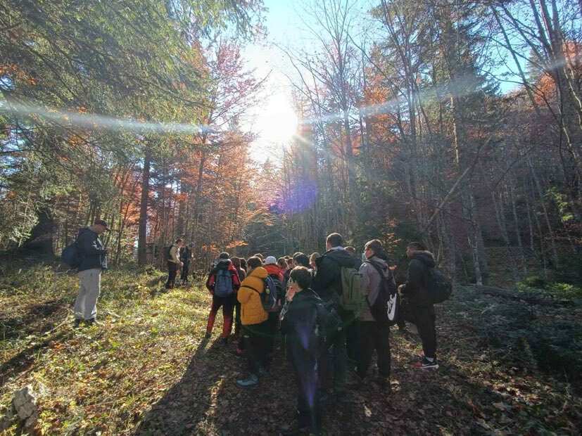 67948990-b7f6-4901-b191-1b3db2eff146