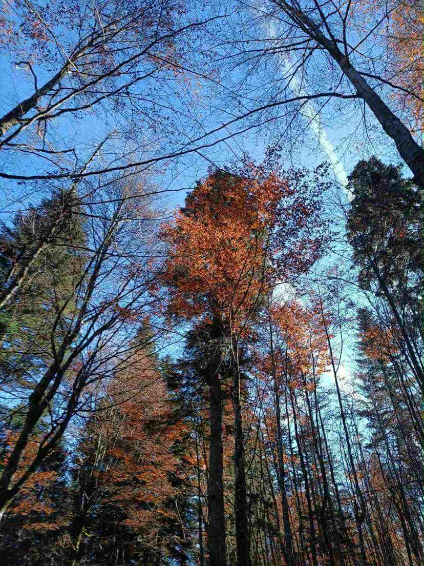 69857702-8063-4e29-a2f6-524aa9e84f7b