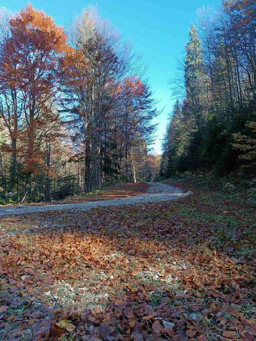 6e8f8ca6-4191-40ee-b5ac-27b52ed90726