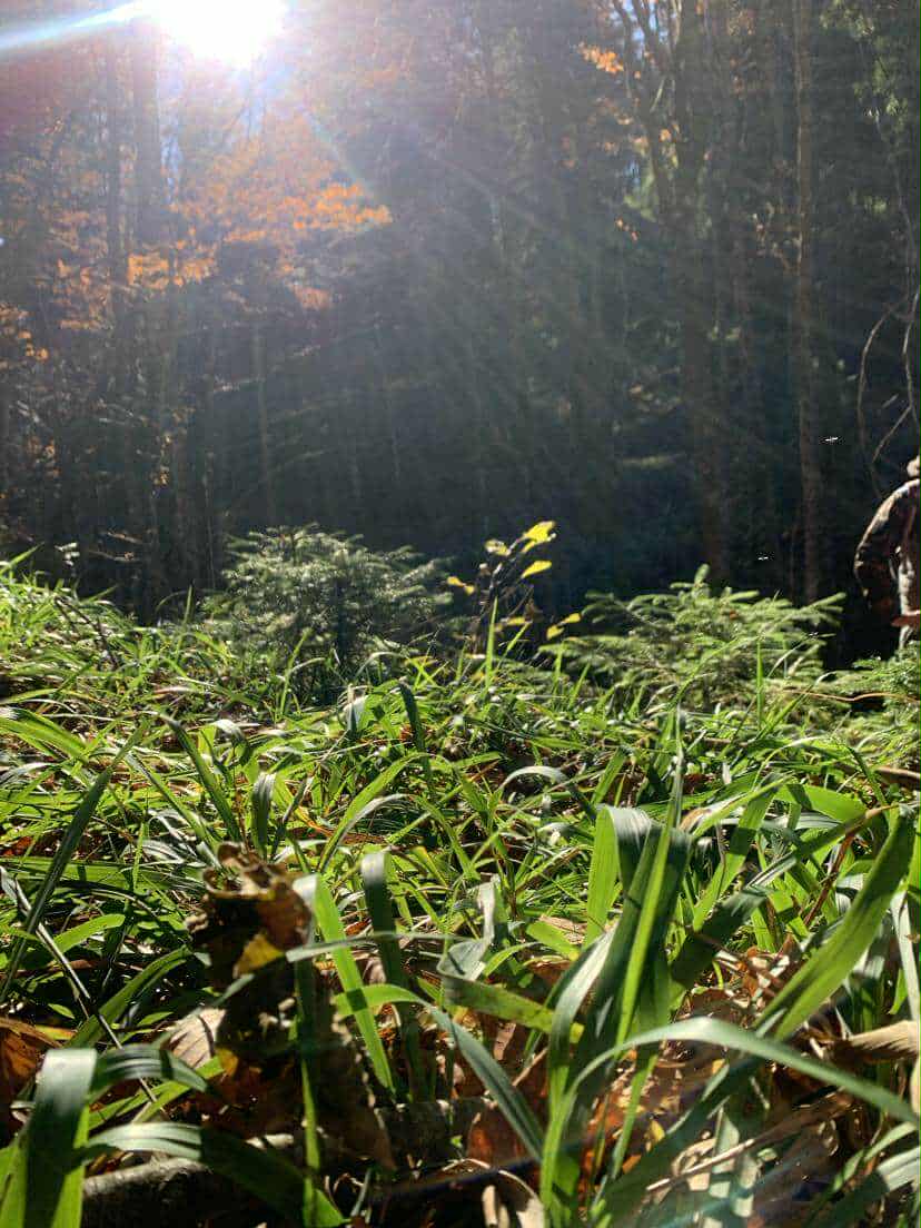 b5395c9d-8c59-4c39-9c21-abc39fae2d28