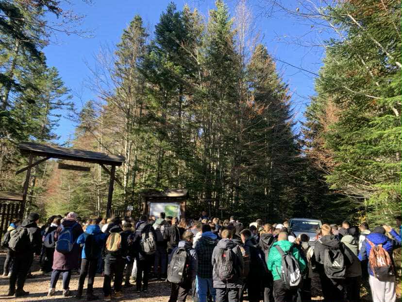 d968632d-9506-4ba7-b378-ff0c5e175f44